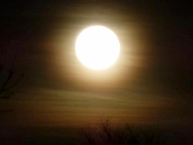 Ode to Ukraine (Single)