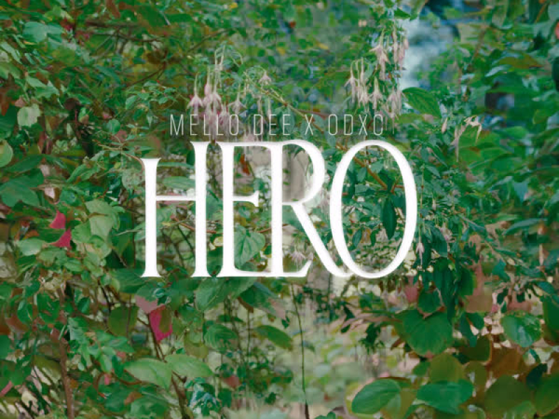 Hero (Single)