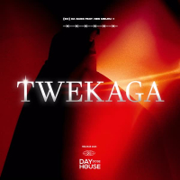 Twekaga (Single)