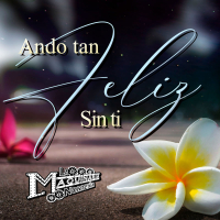 Ando Tan Feliz Sin Ti (Single)