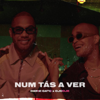 Num Tás a Ver (Single)