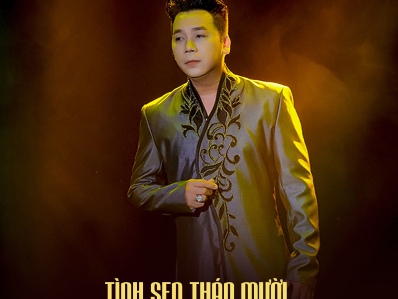 Tình Sen Tháp Mười (Single)