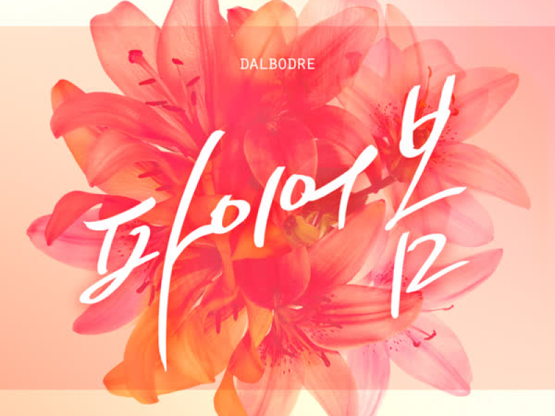 파이어봄 (Single)