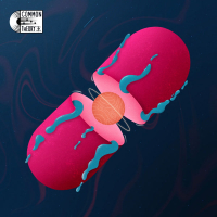 Stuff to wake up to (Single)