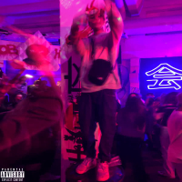 Стрелиция (Single)