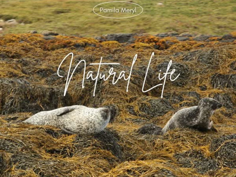 Natural Life (Single)