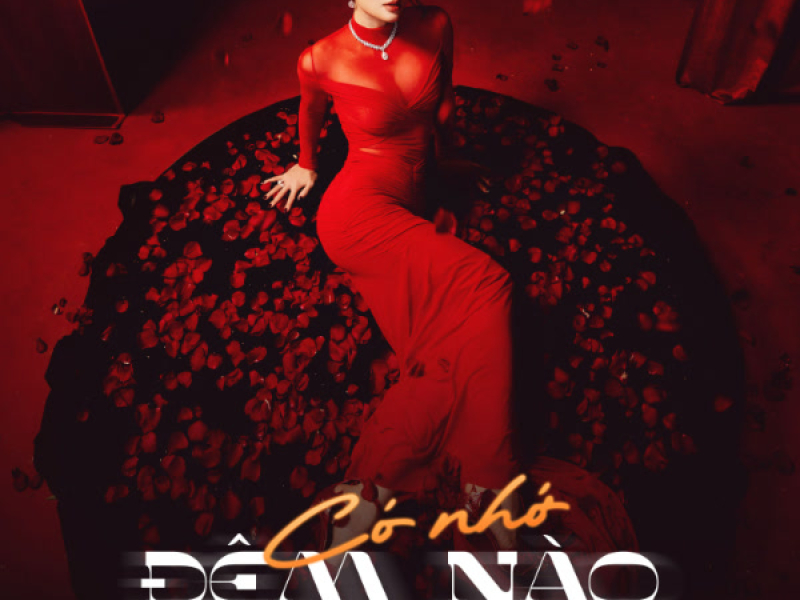 Có Nhớ Đêm Nào (Cover Version) (Single)