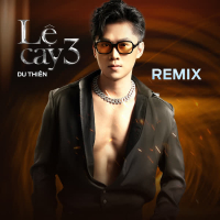 Lệ Cay 3 (Remix) (EP)