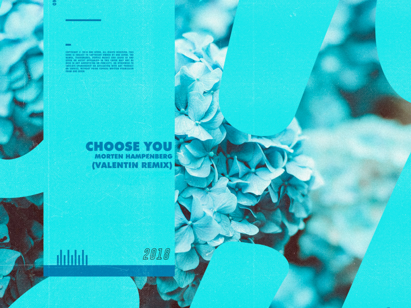 Choose You (Valentin Remix)