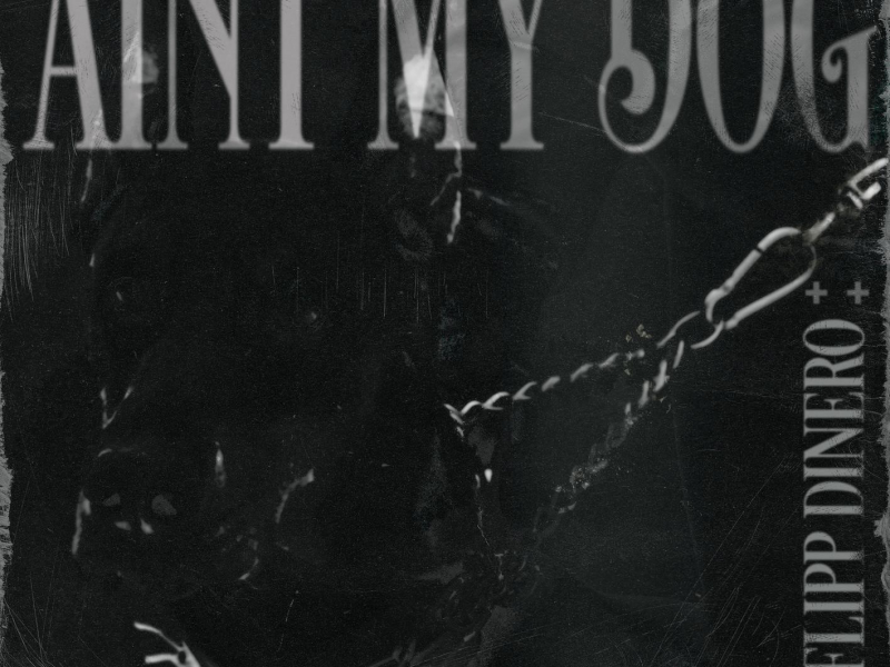 Ain't My Dog (Single)