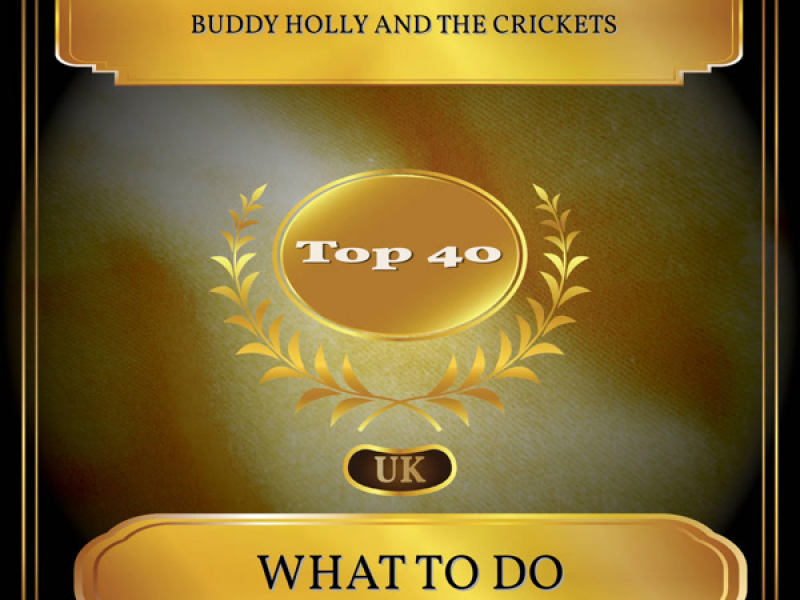 What To Do (UK Chart Top 40 - No. 34) (Single)