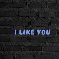 I like you (Single)