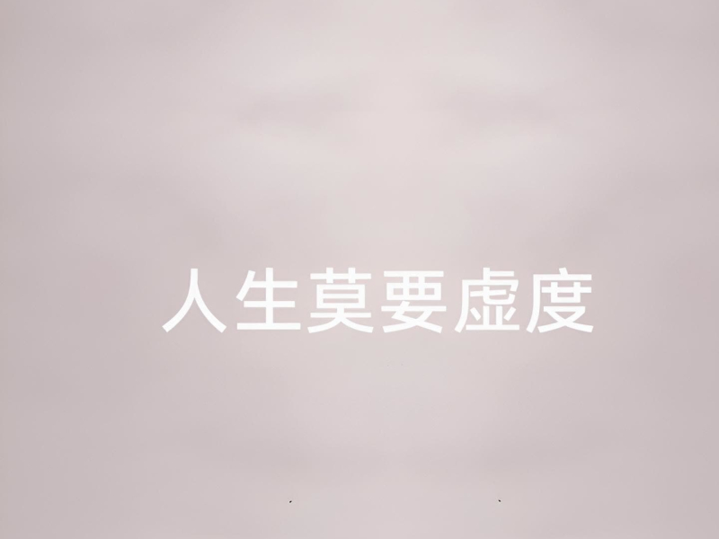 人生莫要虚度 (Single)