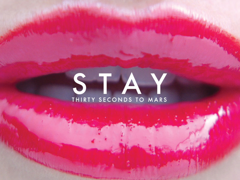 Stay (Single)