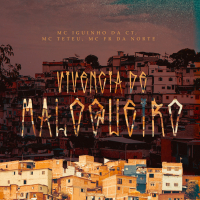 Vivência De Malokeiro (Single)