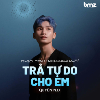 Trả Tự Do Cho Em (T-Golden x Melodiez Lofi) (Single)