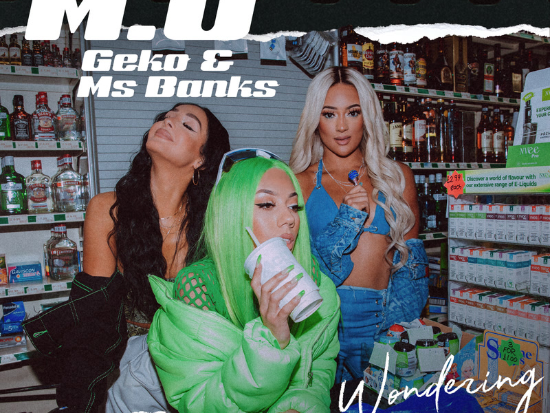 Wondering (Remix) (Single)