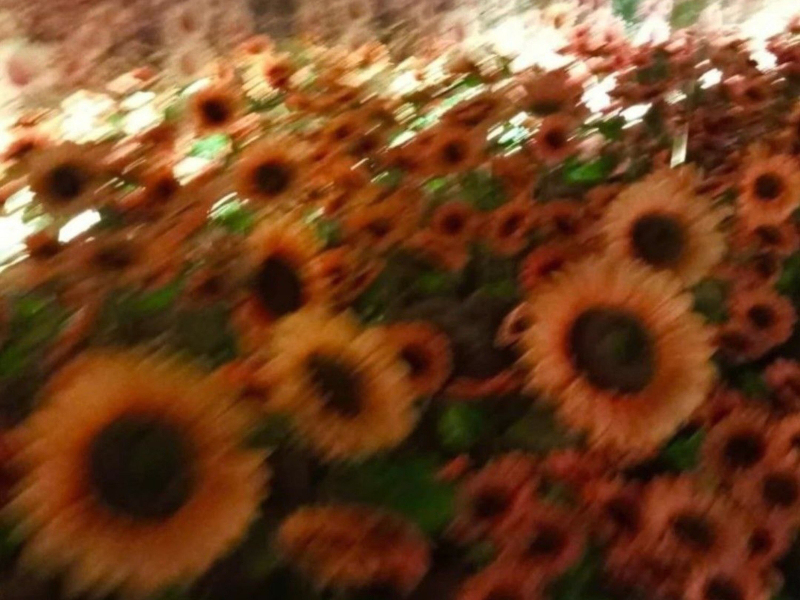 Sangsad100 (feat. DANIALTAGARG) (Single)