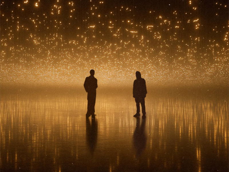 Story of a Bird (Single)