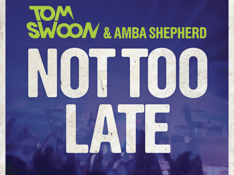 Not Too Late (Radio Edit)