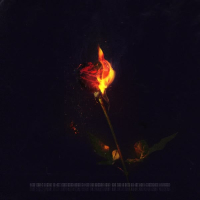 CHOPPER FLAME : THE ROSE (feat. POLO) (Single)