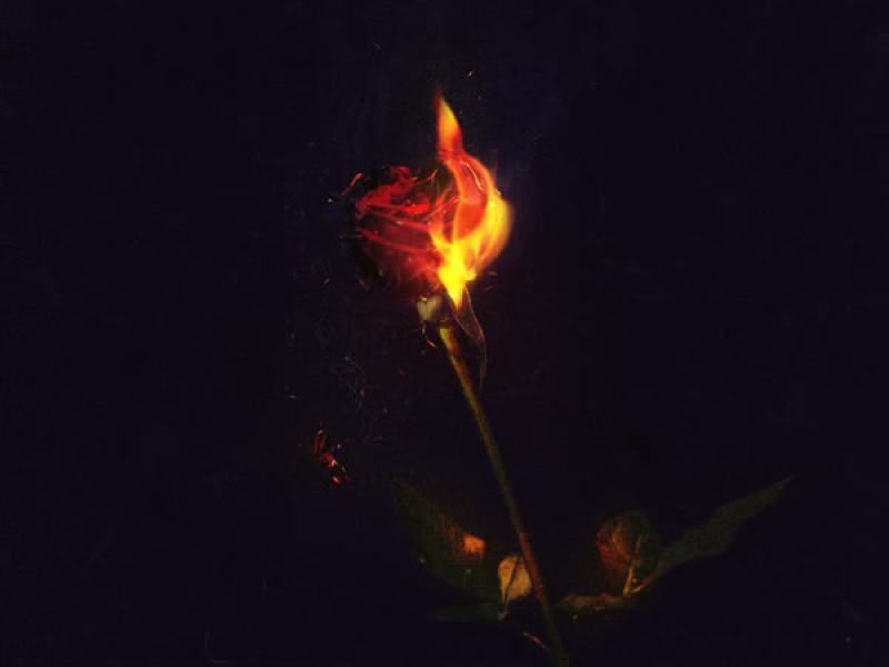 CHOPPER FLAME : THE ROSE (feat. POLO) (Single)