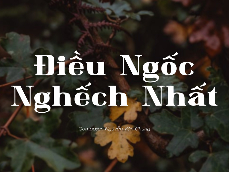 Điều Ngốc Nghếch Nhất (Lofi) (Single)