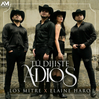 Tú Dijiste Adíos (Single)