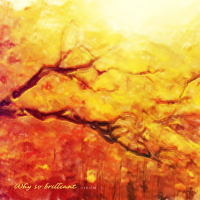 Why so brilliant (Single)