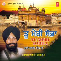 Tu Meri Shobha Vol-1