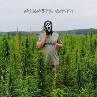 GANGSTA HURRI (Single)