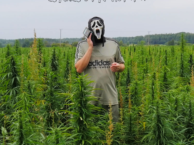 GANGSTA HURRI (Single)