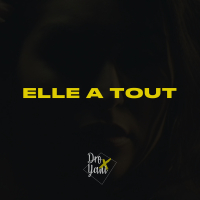 Elle a Tout (Single)