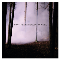 If Only Your Bed Could Cry (Single)