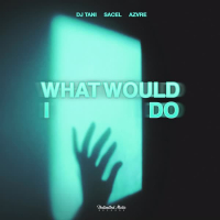 What Would I Do (Single)