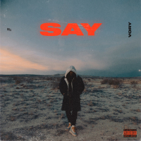 SAY (Single)