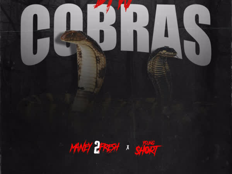 DFW Cobras (Single)