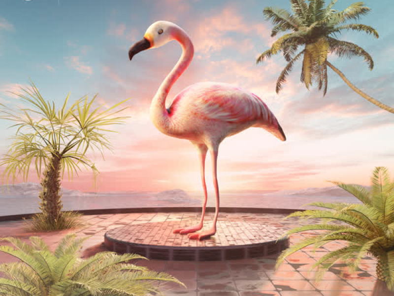 Toca's Miracle (Single)