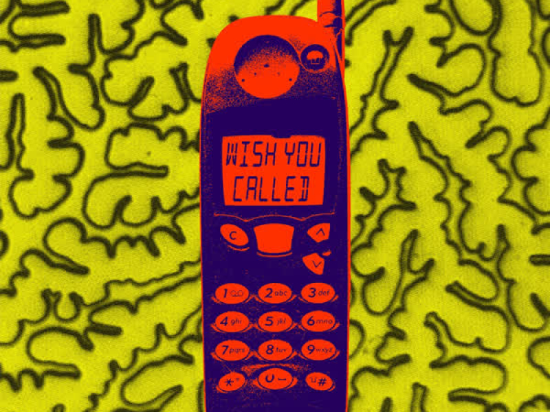 Wish You Called (Single)