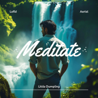 Meditate (Single)