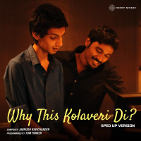 Why This Kolaveri Di? (Sped-Up Version) (Single)