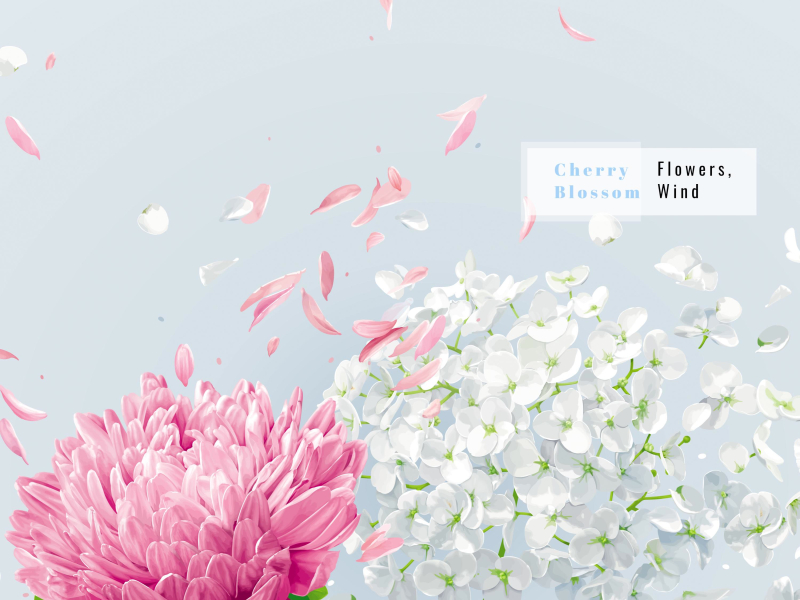 Flowers, Wind (Single)