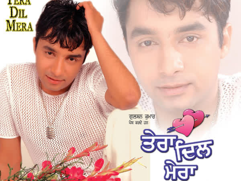 Tera Dil Mera