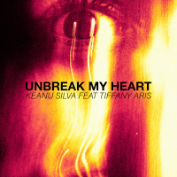 Unbreak My Heart (Single)