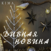 Дивная новина (Single)