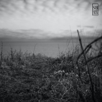 Summer Breeze (Single)