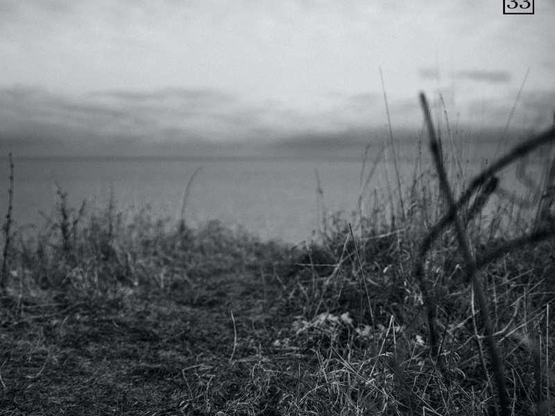 Summer Breeze (Single)