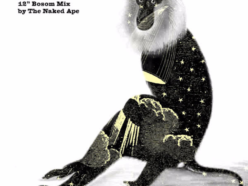 Brimful of Asha (2010 12