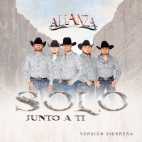 Solo Junto a Ti (Sierreña) (Single)