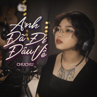 Anh Đã Đi Đâu Về (Single)